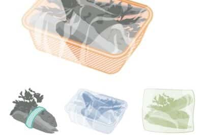 Welche Verpackung Ist Nachhaltiger Eco Design
