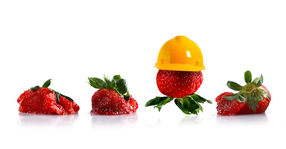 Produktschutz Erdebeeren Verpackung