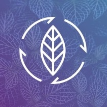 Material Kreislauf/ Logo Packaging Innovation Sustainability