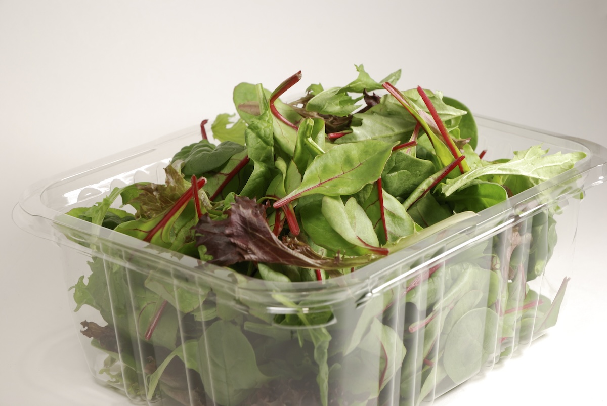 PET-Schale Salat